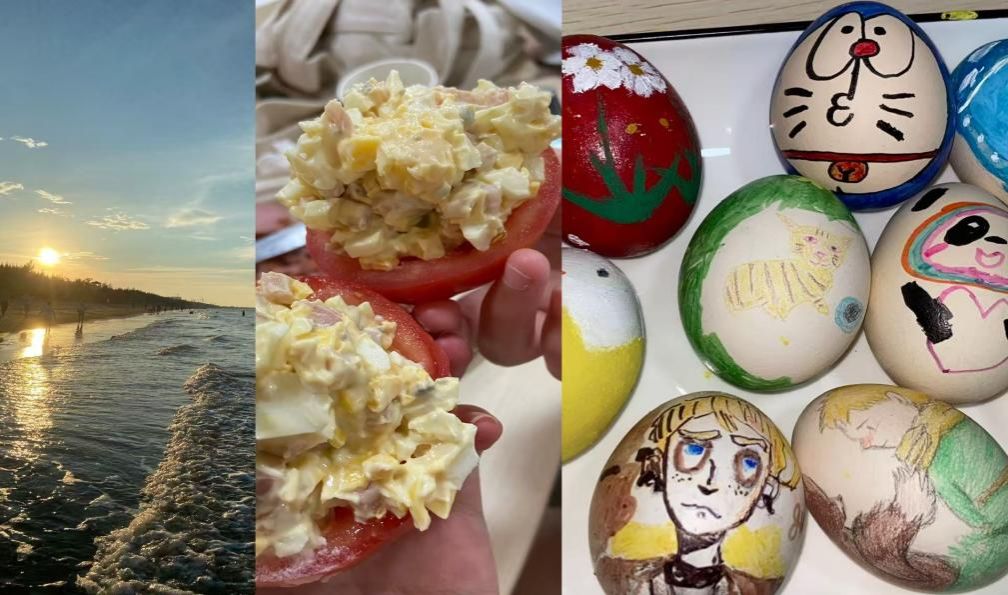 9592dc84b89f6ae152a2e8c7050f392